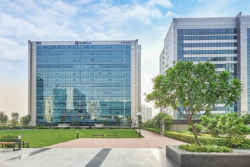 Commercial Projects 11 Candor